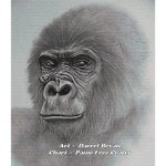 (image for) Gorilla